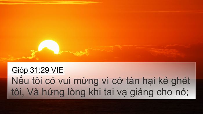 Gióp 31:29 VIE Bible Verse Image