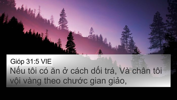 Gióp 31:5 VIE 4K Wallpaper - Nếu tôi có ăn ở cách dối trá, Và - 4K Wallpaper Bible Verse