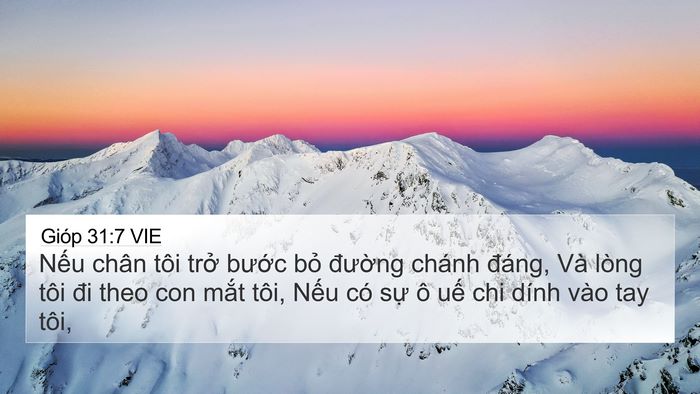 Gióp 31:7 VIE Bible Verse Image