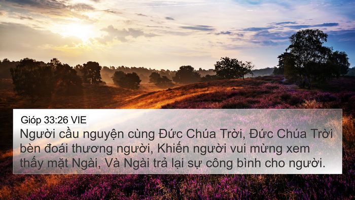 Gióp 33:26 VIE Bible Verse Image