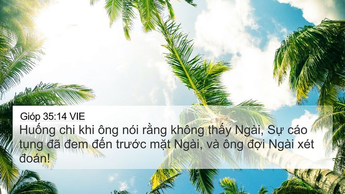 Gióp 35:14 VIE Bible Verse Image