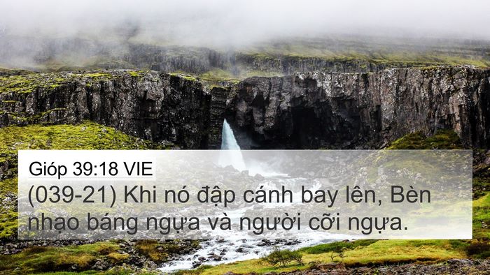 Gióp 39:18 VIE Bible Verse Image