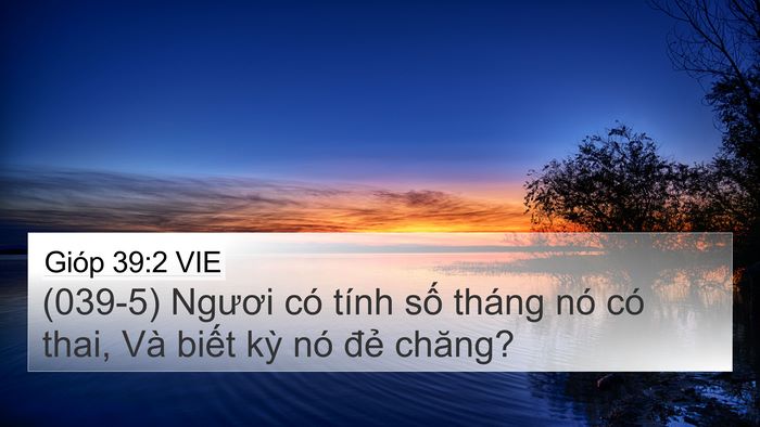 Gióp 39:2 VIE 4K Wallpaper - (039-5) Ngươi có tính số tháng nó có - 4K Wallpaper Bible Verse
