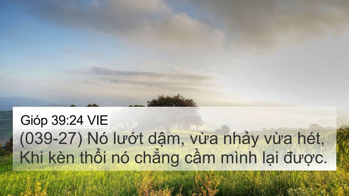 Gióp 39:24 VIE Bible Verse Image