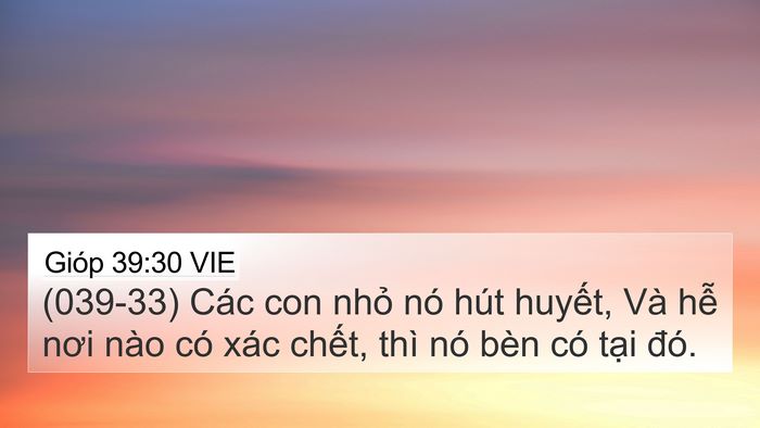 Gióp 39:30 VIE Bible Verse Image