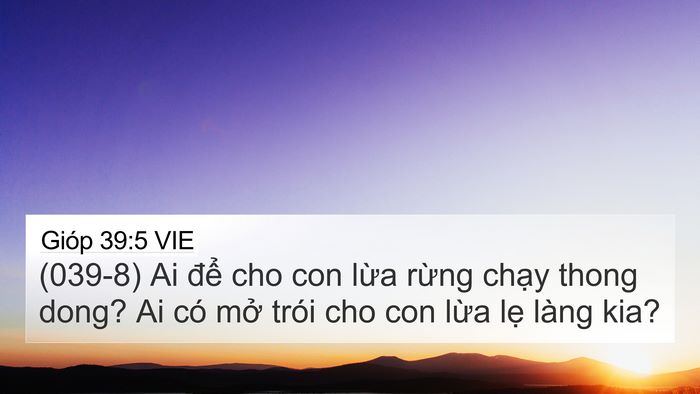 Gióp 39:5 VIE Bible Verse Image