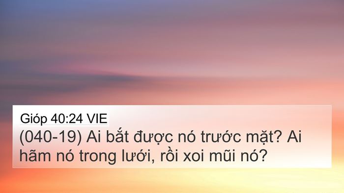Gióp 40:24 VIE 4K Wallpaper - (040-19) Ai bắt được nó trước mặt? Ai - 4K Wallpaper Bible Verse