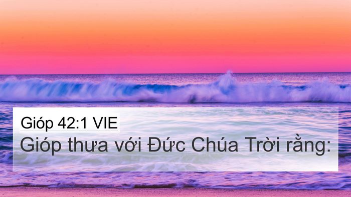 Gióp 42:1 VIE 4K Wallpaper - Gióp thưa với Đức Chúa Trời - 4K Wallpaper Bible Verse