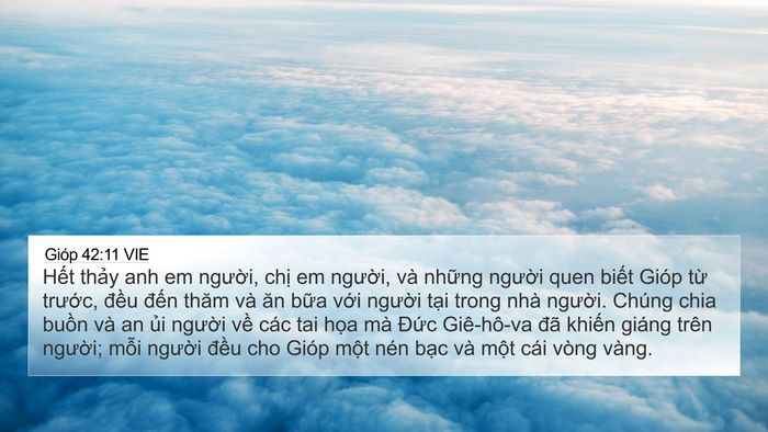Gióp 42:11 VIE Bible Verse Image