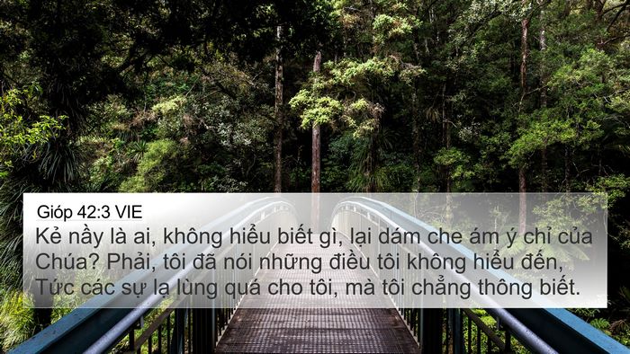 Gióp 42:3 VIE Bible Verse Image