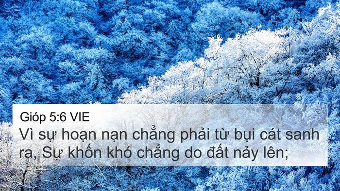Gióp 5:6 VIE 4K Wallpaper - Vì sự hoạn nạn chẳng phải từ bụi - 4K Wallpaper Bible Verse