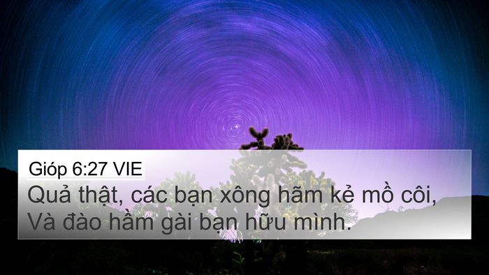 Gióp 6:27 VIE Bible Verse Image