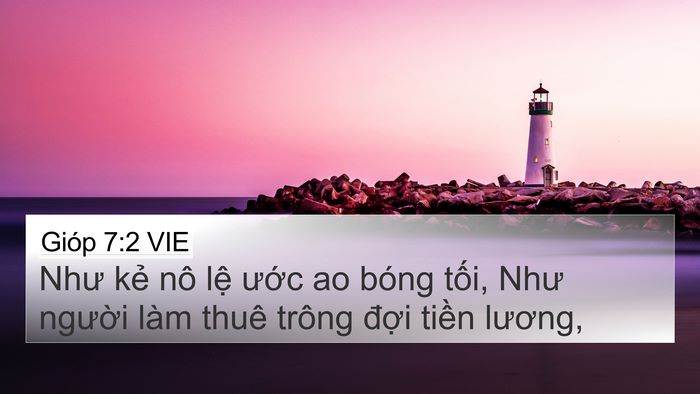 Gióp 7:2 VIE 4K Wallpaper - Như kẻ nô lệ ước ao bóng tối, Như - 4K Wallpaper Bible Verse