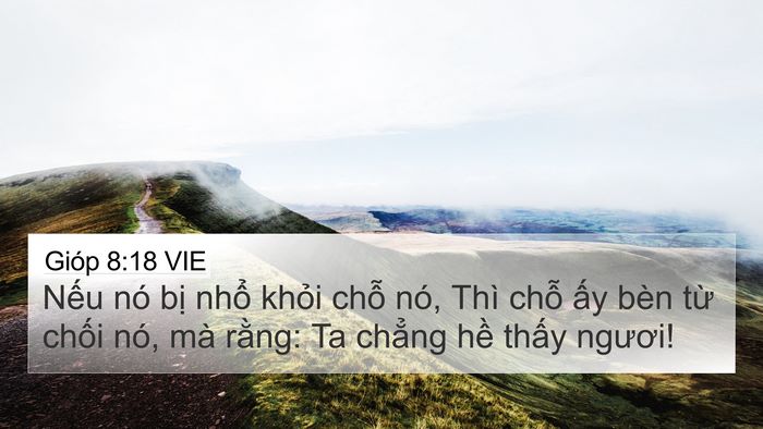 Gióp 8:18 VIE Bible Verse Image