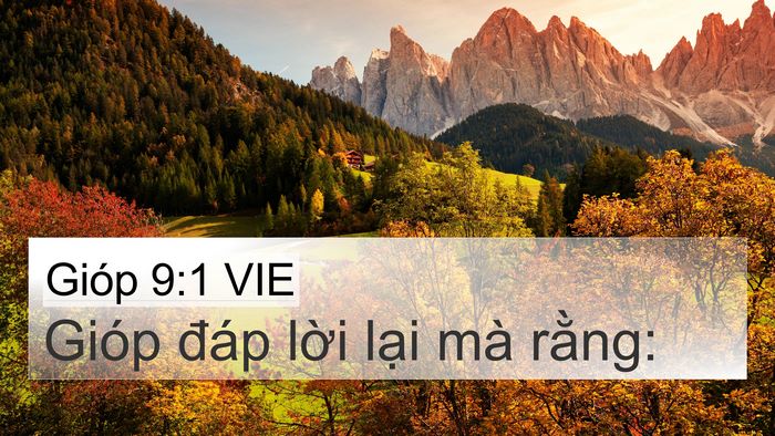 Gióp 9:1 VIE 4K Wallpaper - Gióp đáp lời lại mà - 4K Wallpaper Bible Verse
