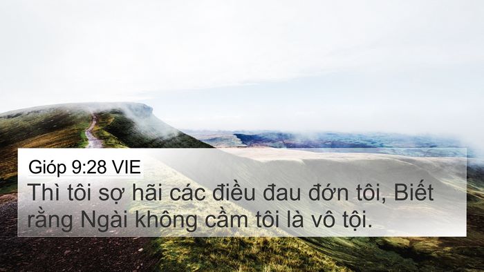 Gióp 9:28 VIE Bible Verse Image