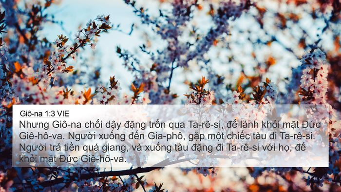 Giô-na 1:3 VIE Bible Verse Image