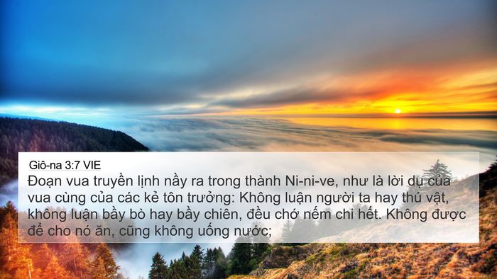 Giô-na 3:7 VIE Bible Verse Image