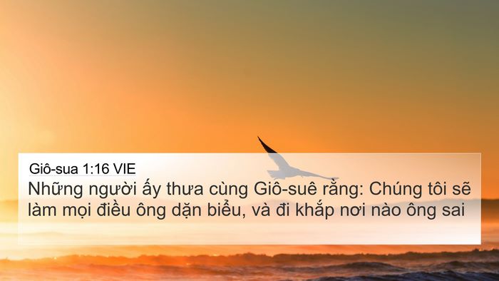 Giô-sua 1:16 VIE Bible Verse Image