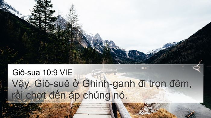 Giô-sua 10:9 VIE Bible Verse Image