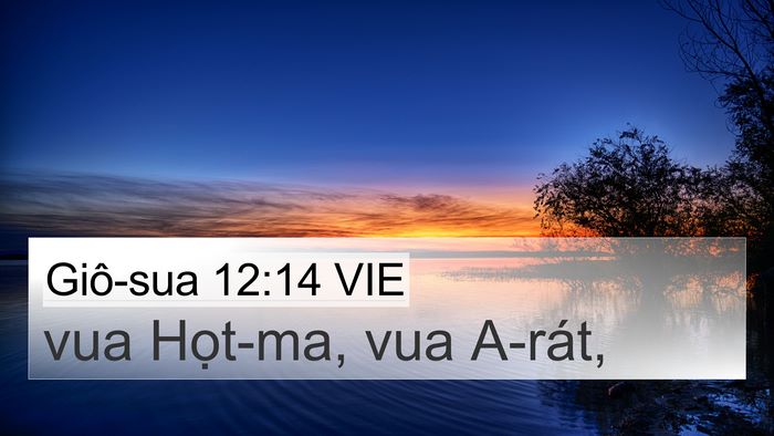 Giô-sua 12:14 VIE 4K Wallpaper - vua Họt-ma, vua - 4K Wallpaper Bible Verse