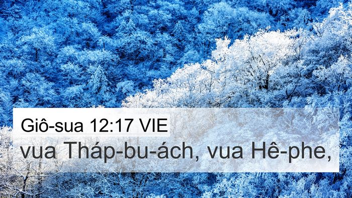 Giô-sua 12:17 VIE Bible Verse Image