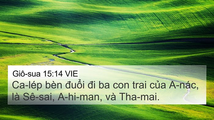 Giô-sua 15:14 VIE Bible Verse Image