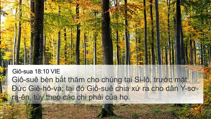 Giô-sua 18:10 VIE Bible Verse Image