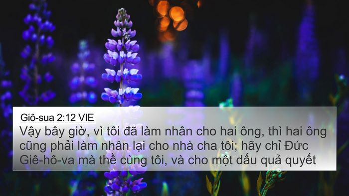 Giô-sua 2:12 VIE Bible Verse Image