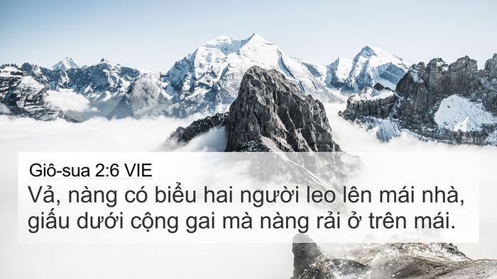 Giô-sua 2:6 VIE Bible Verse Image