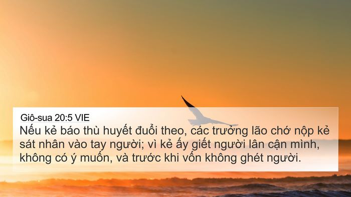 Giô-sua 20:5 VIE Bible Verse Image