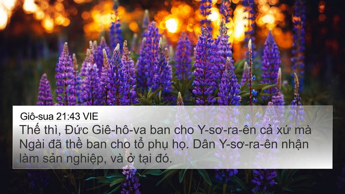Giô-sua 21:43 VIE Bible Verse Image