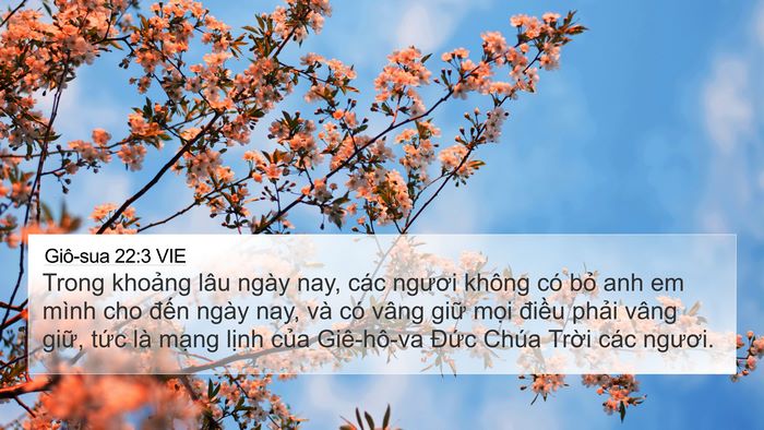 Giô-sua 22:3 VIE 4K Wallpaper - Trong khoảng lâu ngày nay, các ngươi - 4K Wallpaper Bible Verse