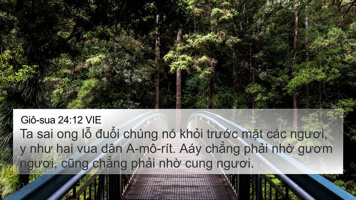 Giô-sua 24:12 VIE 4K Wallpaper - Ta sai ong lỗ đuổi chúng nó khỏi - 4K Wallpaper Bible Verse