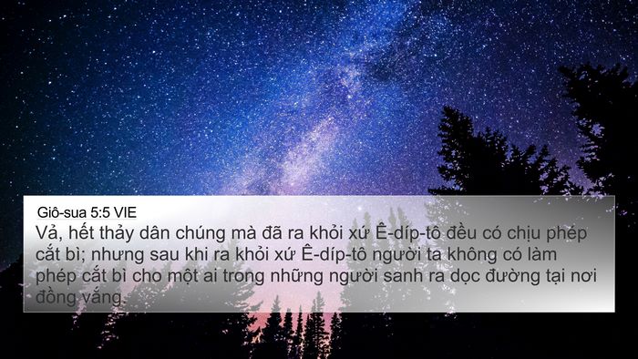 Giô-sua 5:5 VIE 4K Wallpaper - Vả, hết thảy dân chúng mà đã ra khỏi - 4K Wallpaper Bible Verse