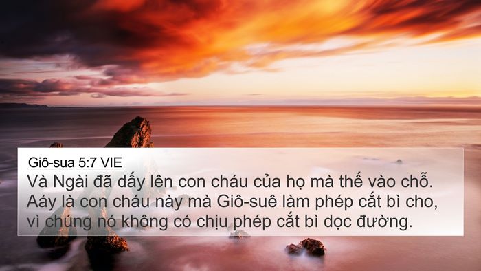 Giô-sua 5:7 VIE 4K Wallpaper - Và Ngài đã dấy lên con cháu của họ - 4K Wallpaper Bible Verse