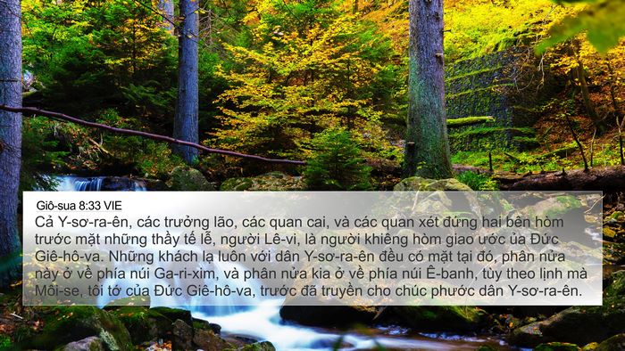Giô-sua 8:33 VIE 4K Wallpaper - Cả Y-sơ-ra-ên, các trưởng lão, các quan - 4K Wallpaper Bible Verse
