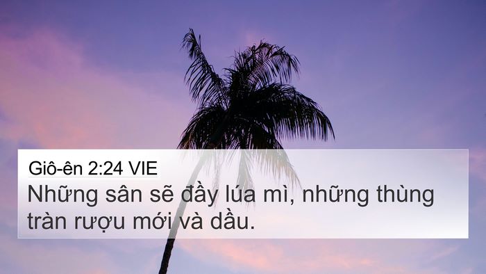 Giô-ên 2:24 VIE 4K Wallpaper - Những sân sẽ đầy lúa mì, những thùng - 4K Wallpaper Bible Verse