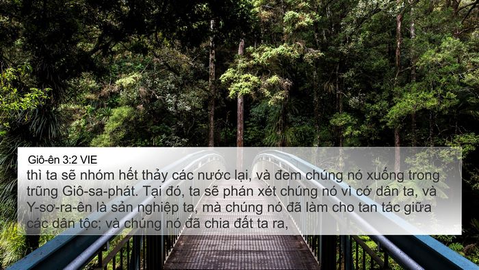 Giô-ên 3:2 VIE Bible Verse Image