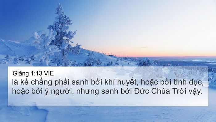 Giăng 1:13 VIE Bible Verse Image