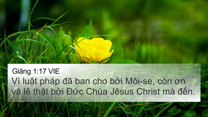 Giăng 1:17 VIE Bible Verse Image