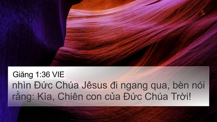 Giăng 1:36 VIE Bible Verse Image
