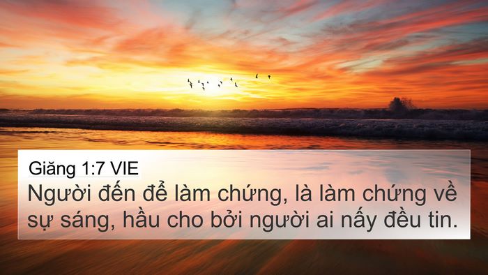 Giăng 1:7 VIE Bible Verse Image