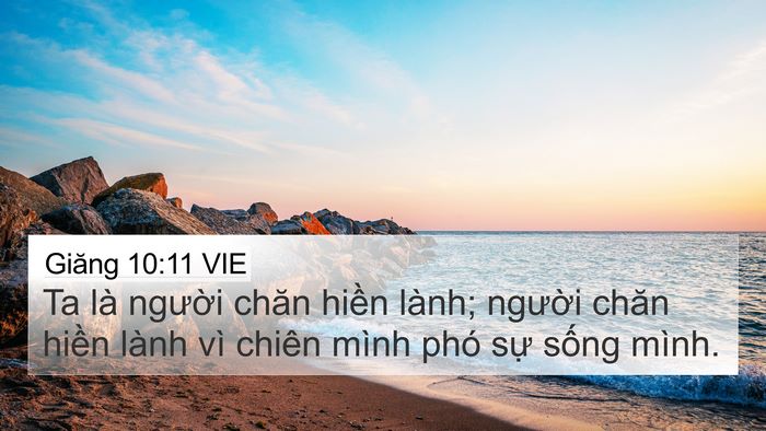 Giăng 10:11 VIE Bible Verse Image