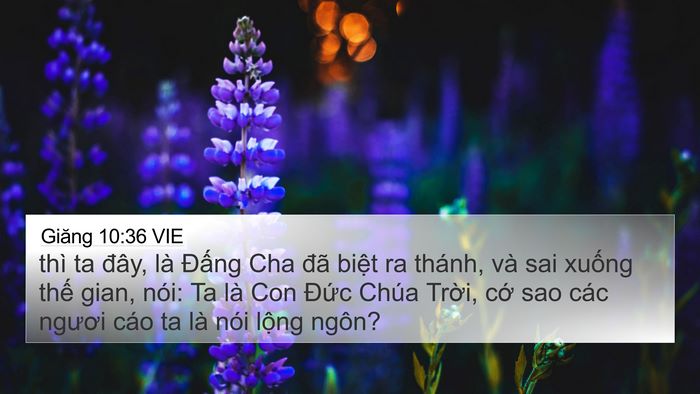 Giăng 10:36 VIE Bible Verse Image