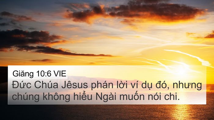 Giăng 10:6 VIE Bible Verse Image
