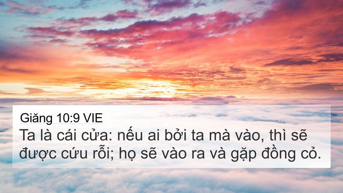 Giăng 10:9 VIE Bible Verse Image