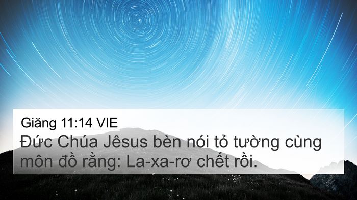 Giăng 11:14 VIE Bible Verse Image