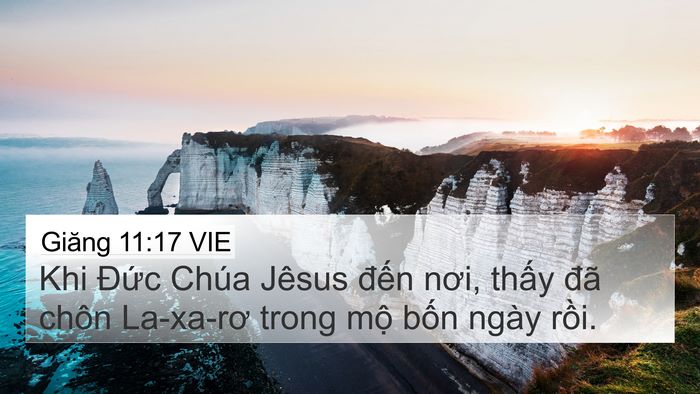 Giăng 11:17 VIE Bible Verse Image