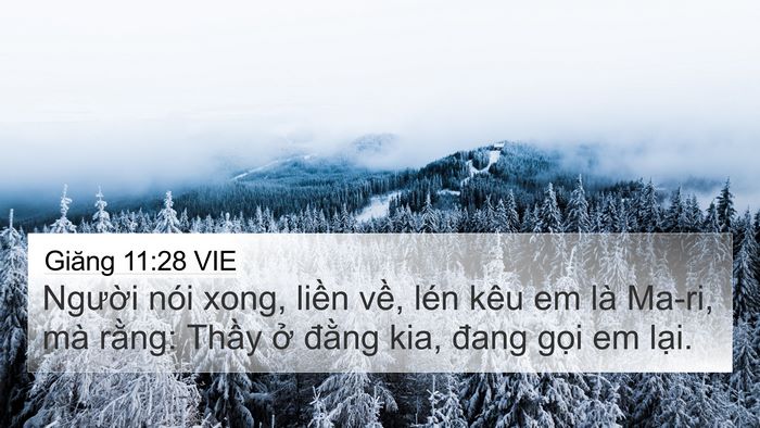 Giăng 11:28 VIE Bible Verse Image